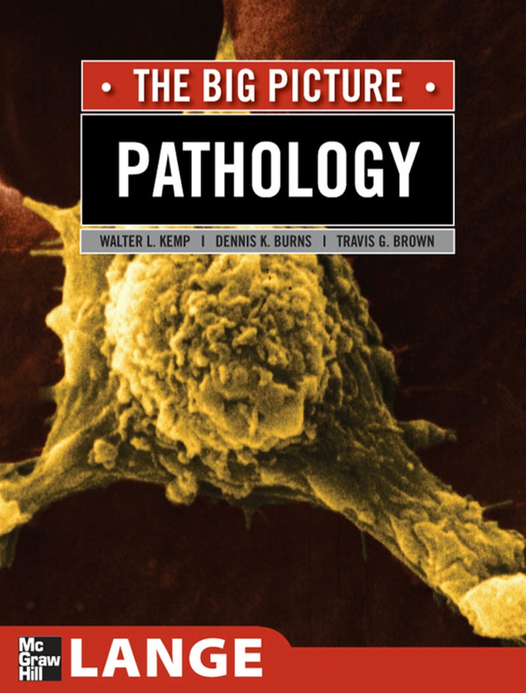 Pathology: The Big Picture 1st Edition