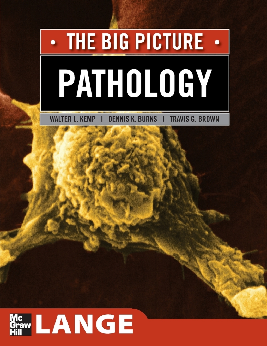 Pathology: The Big Picture 1st Edition