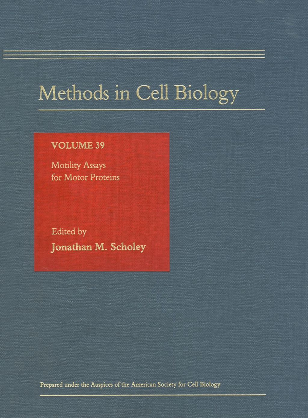 MOTILITY ASSAYS FOR MOTOR PROTEINS