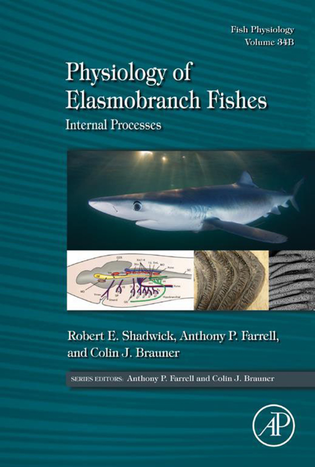 Physiology of Elasmobranch Fishes: Internal Processes: Fish Physiology
