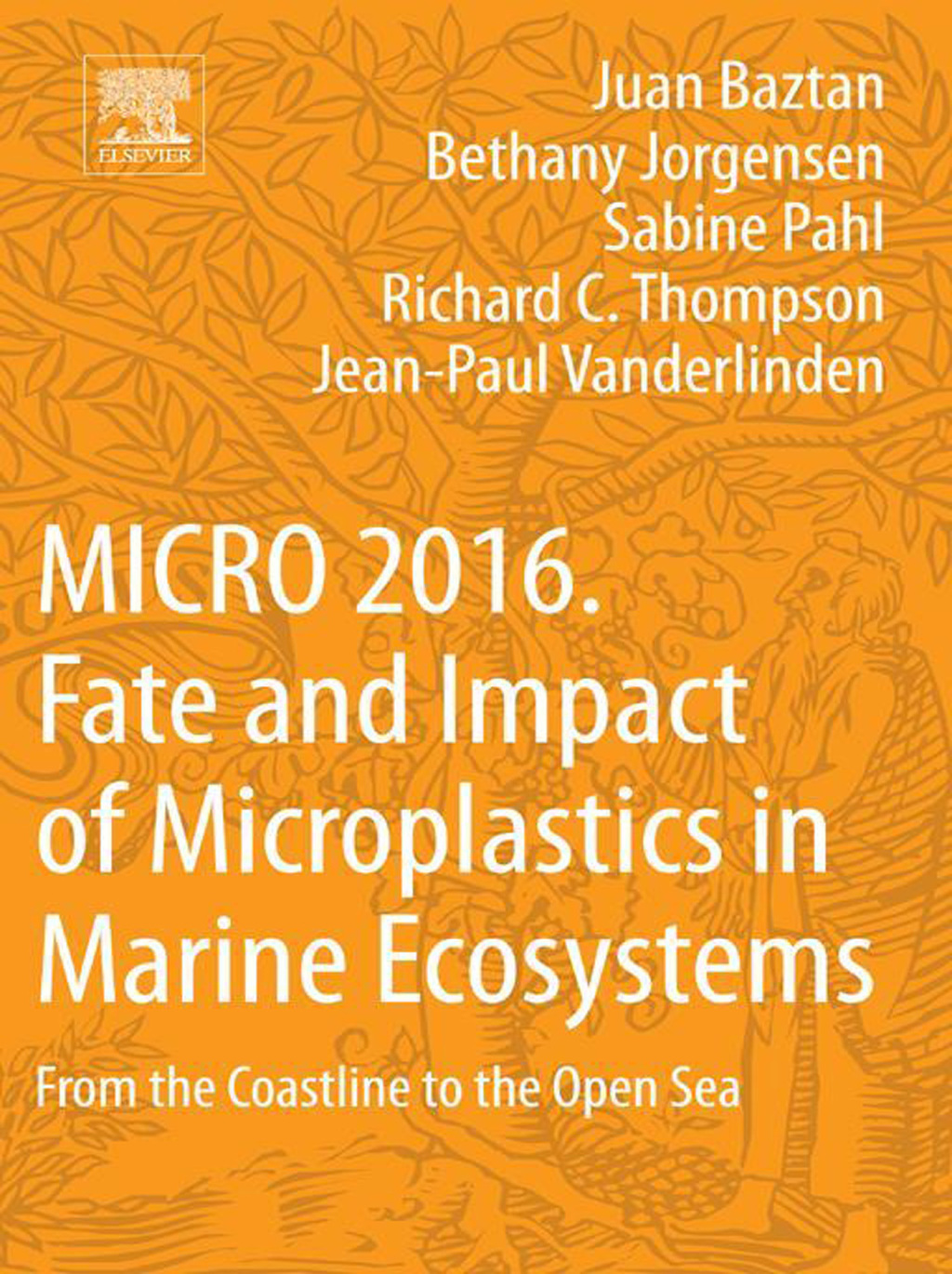MICRO 2016: Fate and Impact of Microplastics in Marine Ecosystems From the Coastline to the Open Sea