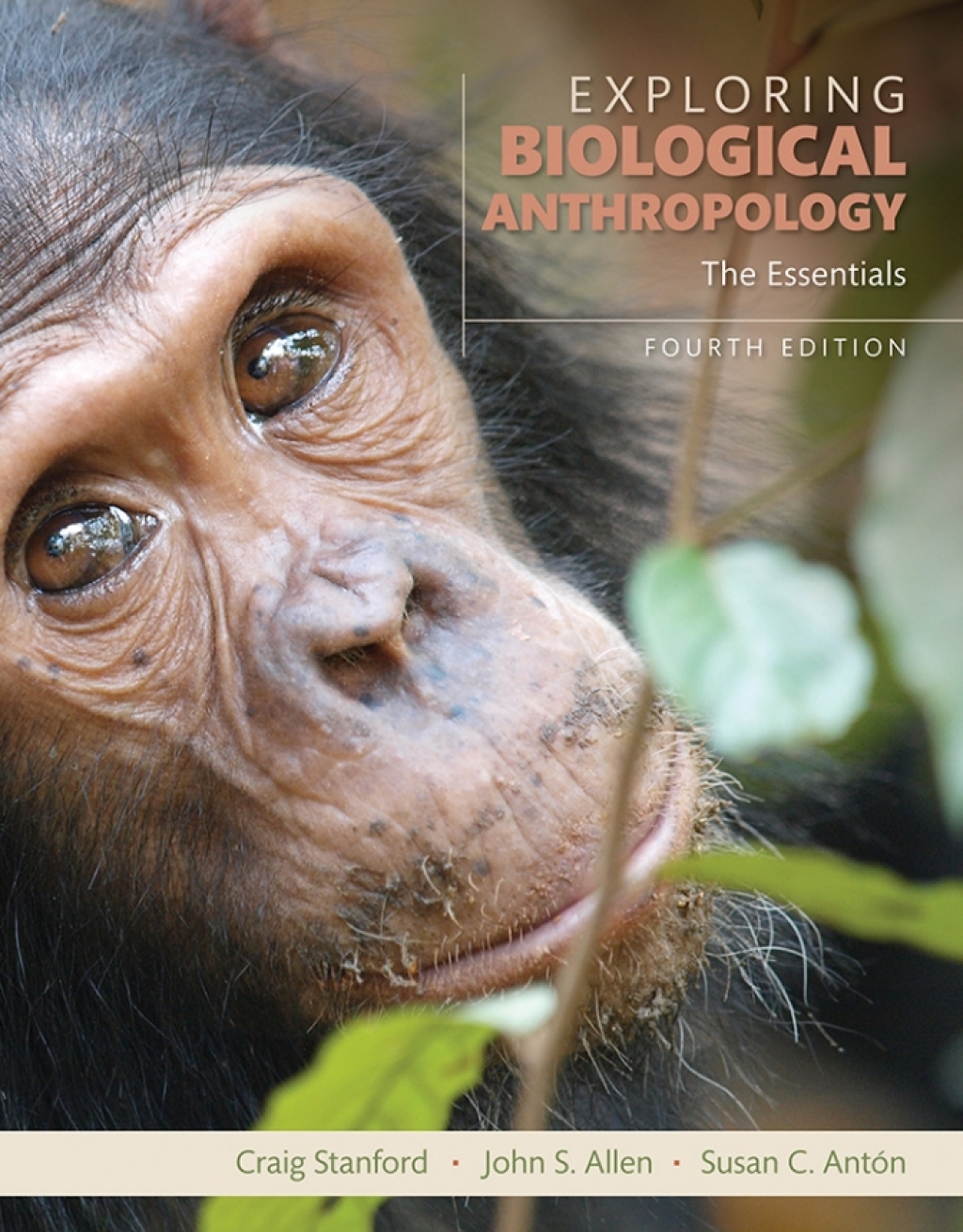 Exploring Biological Anthropology: The Essentials 4th Edition