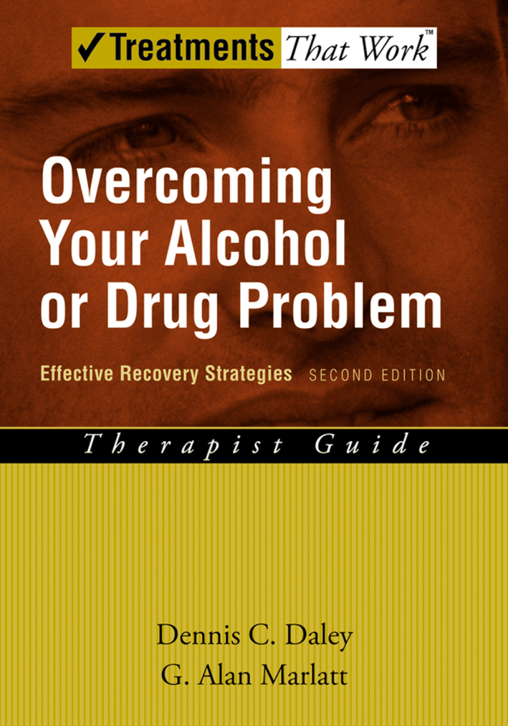 Overcoming Your Alcohol or Drug Problem Effective Recovery Strategies 2nd Edition