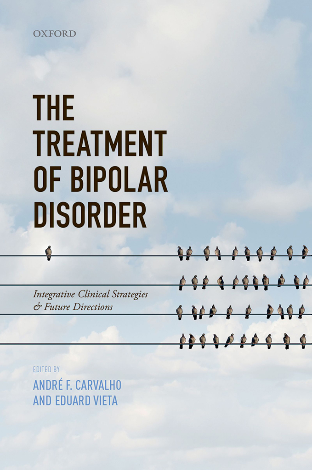 The Treatment of Bipolar Disorder Integrative Clinical Strategies and Future Directions 1st Edition