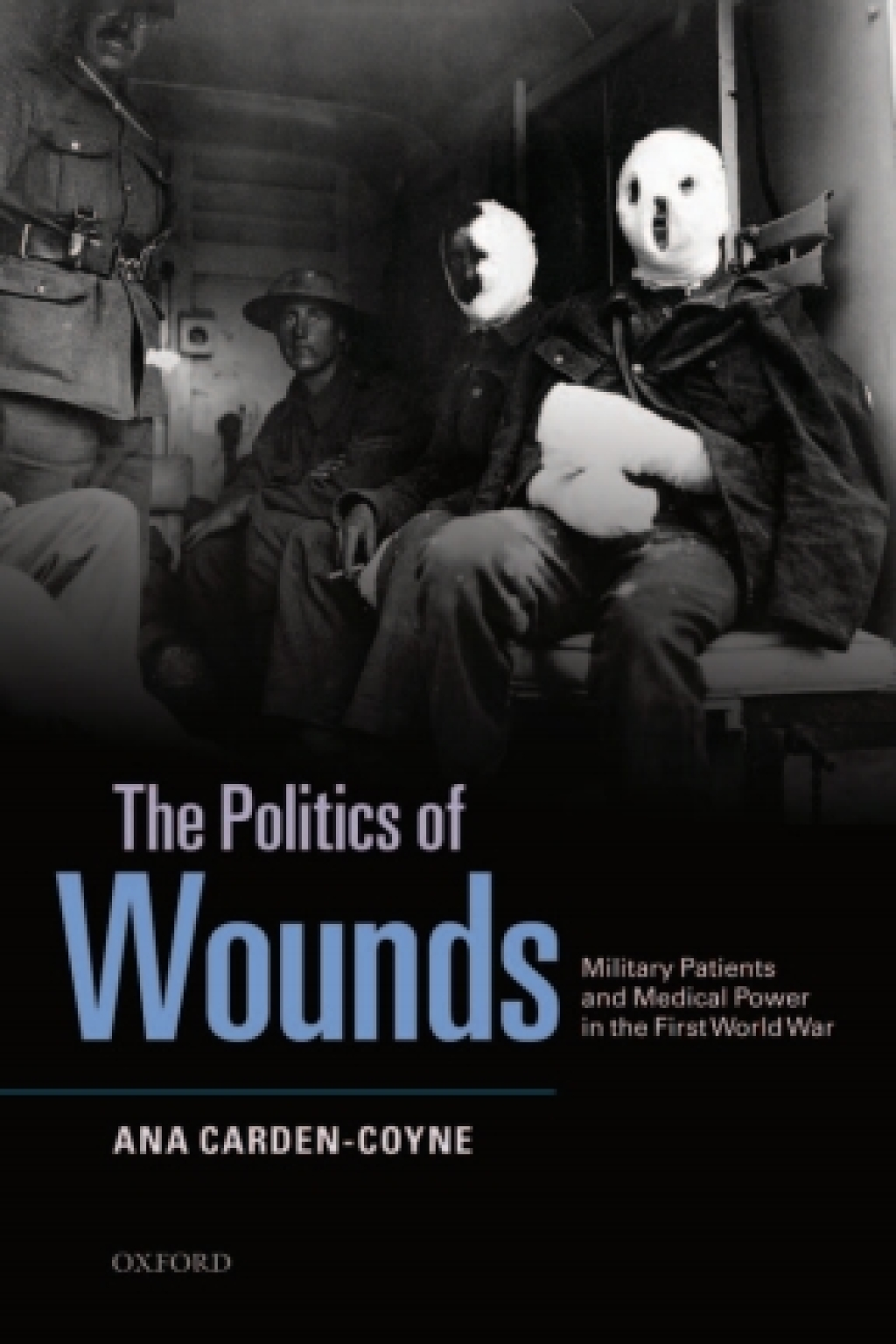 The Politics of Wounds Military Patients and Medical Power in the First World War