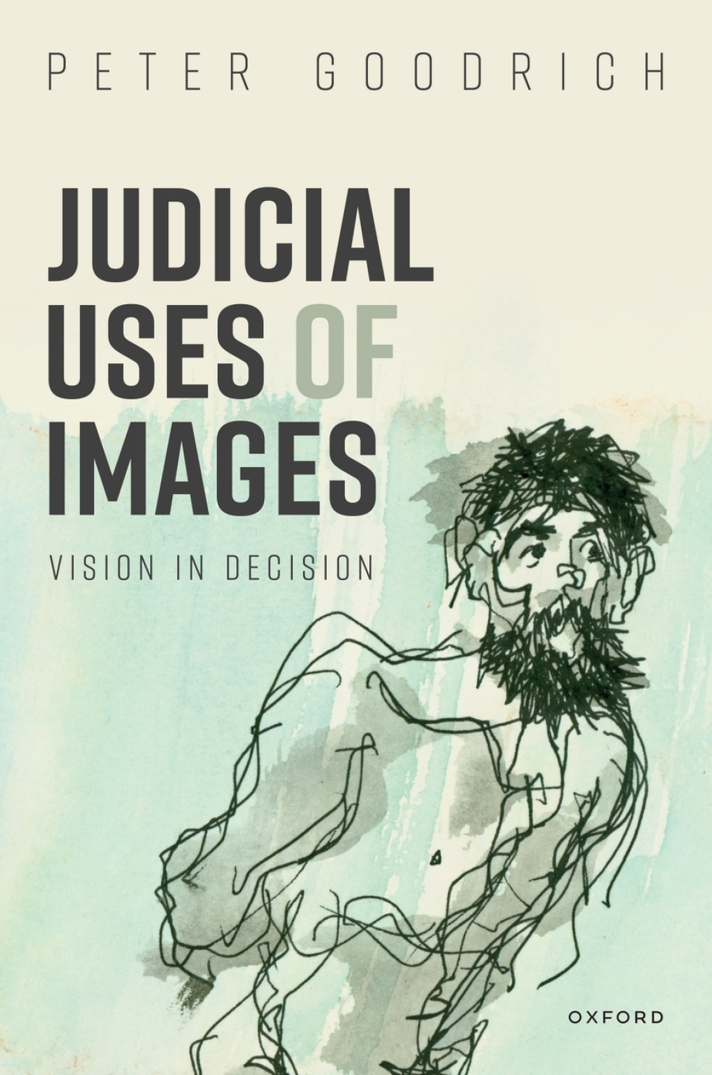 Judicial Uses of Images Vision in Decision