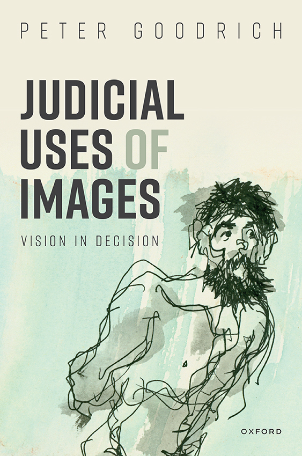 Judicial Uses of Images Vision in Decision 1st Edition