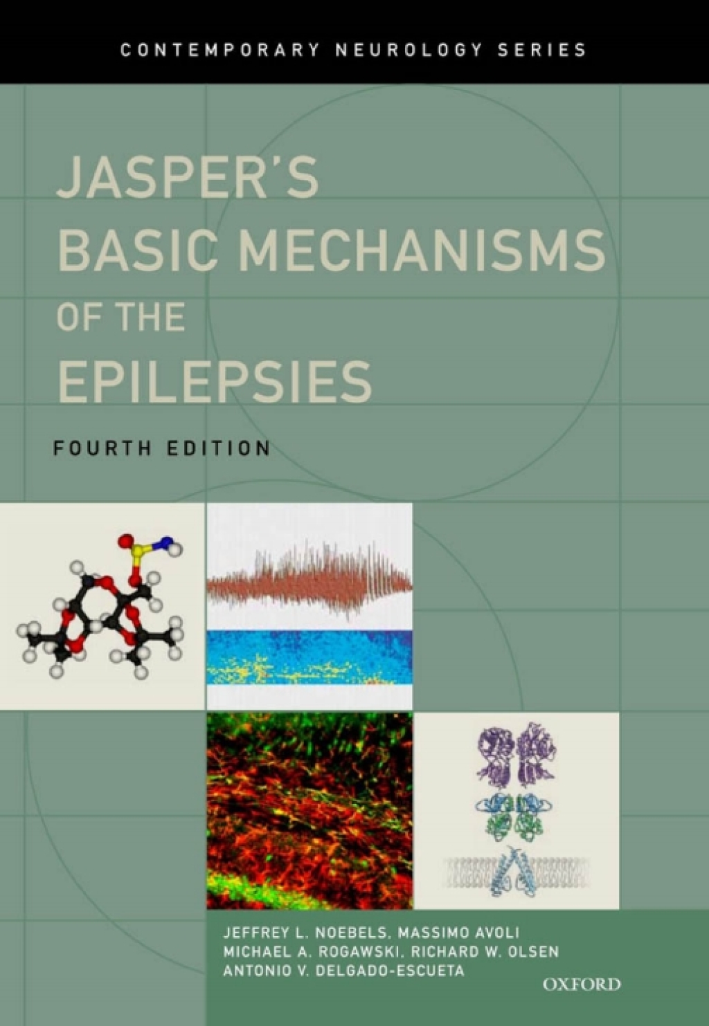 Jasper's Basic Mechanisms of the Epilepsies 4th Edition
Newer Edition Available