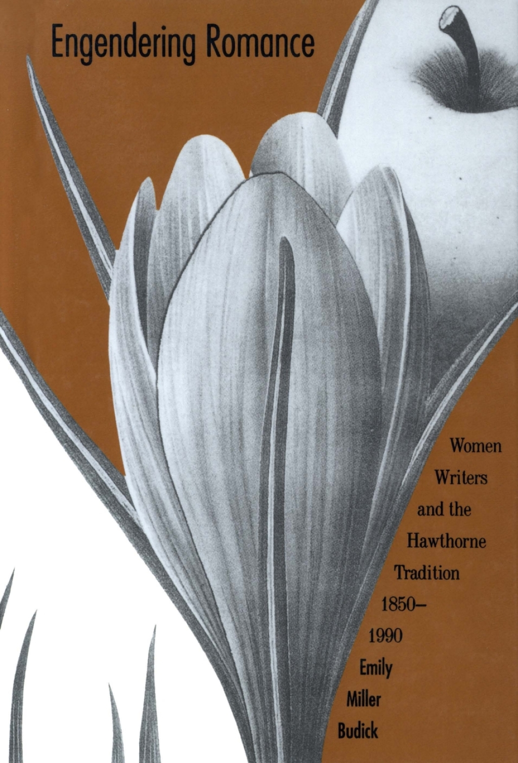 Engendering Romance Women Writers and the Hawthorne Tradition, 1850-1990