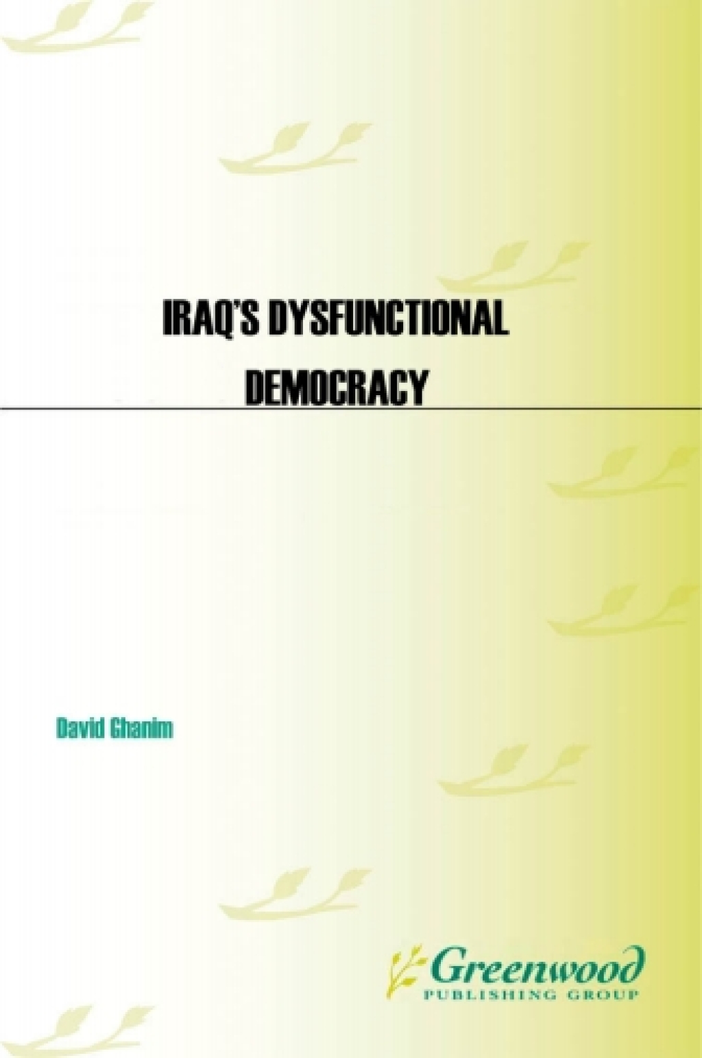 Iraq's Dysfunctional Democracy 1st Edition
