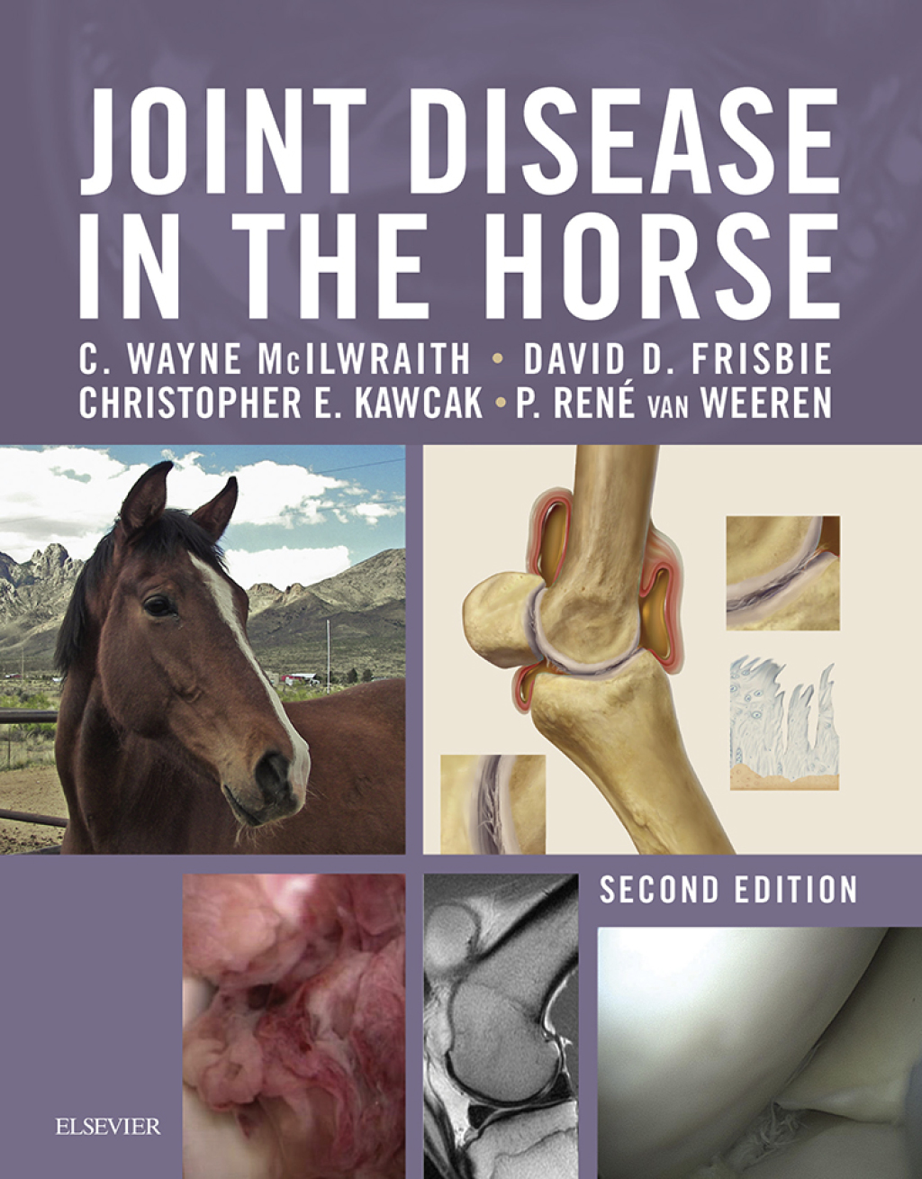 Joint Disease in the Horse 2nd Edition