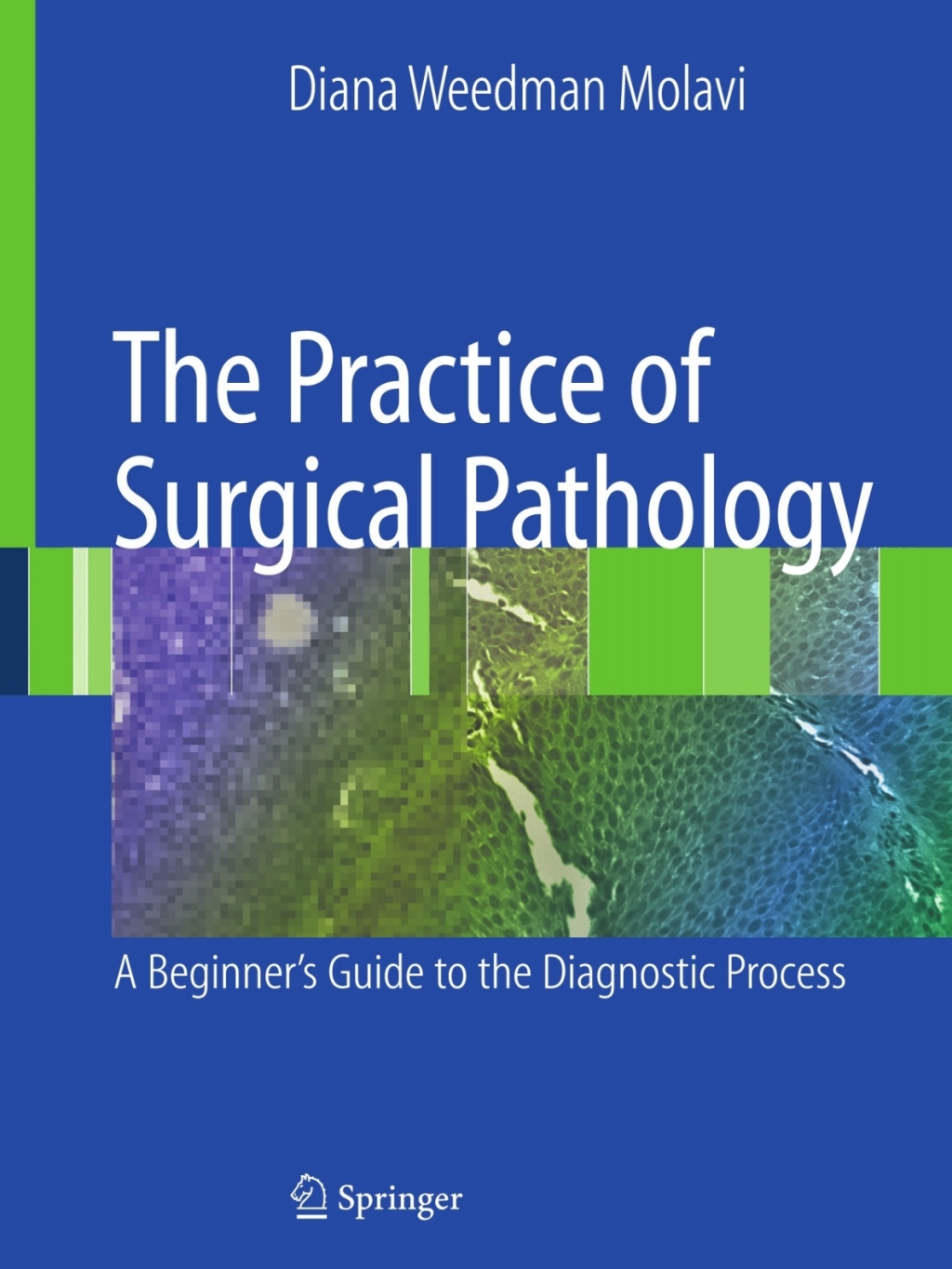 The Practice of Surgical Pathology A Beginner's Guide to the Diagnostic Process