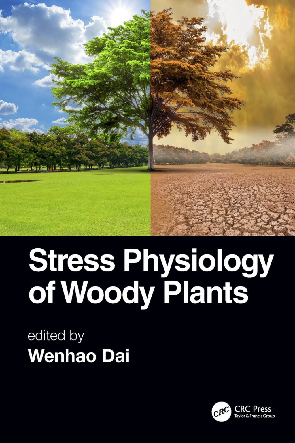 Stress Physiology of Woody Plants 1st Edition