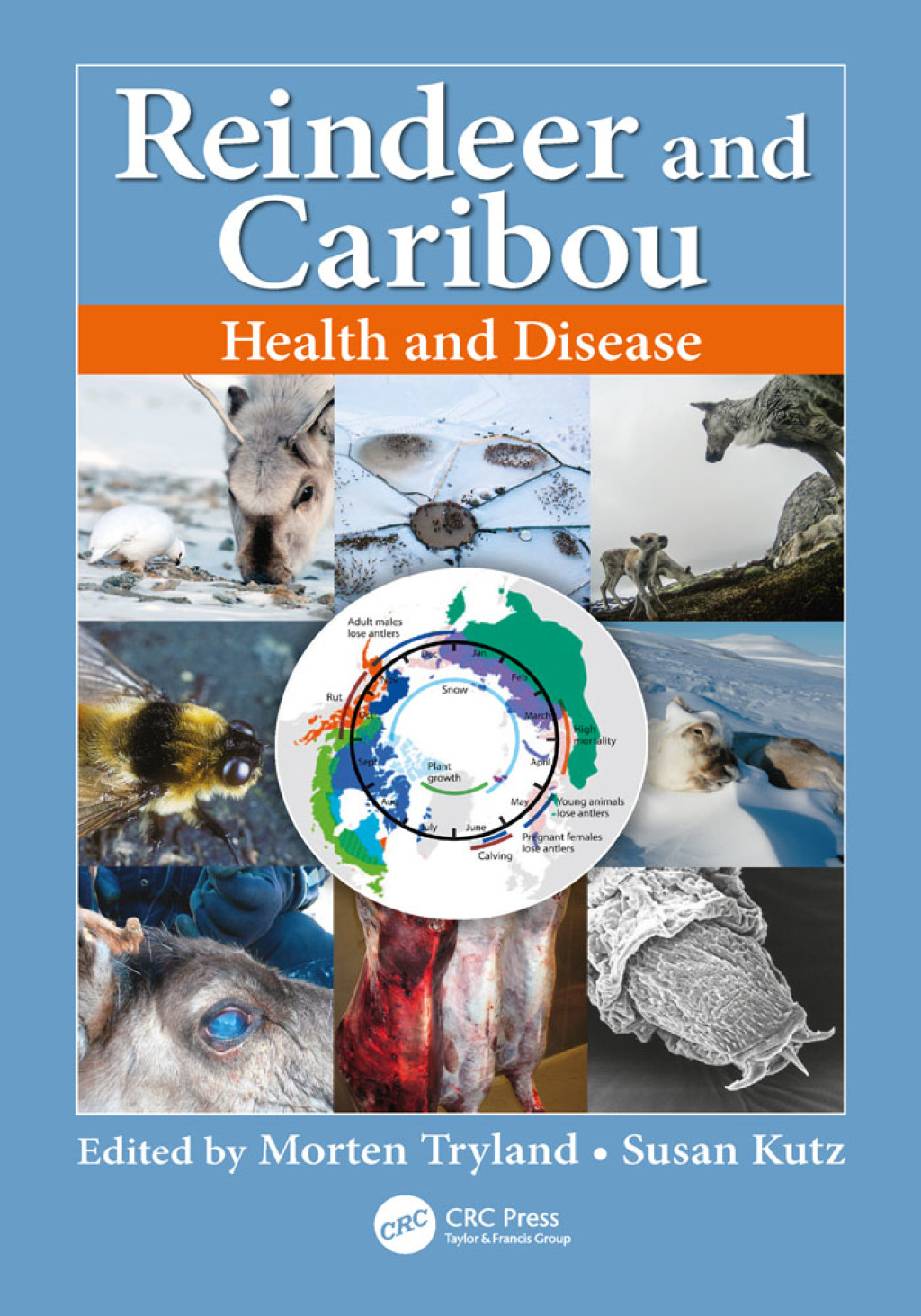 Reindeer and Caribou Health and Disease 1st Edition