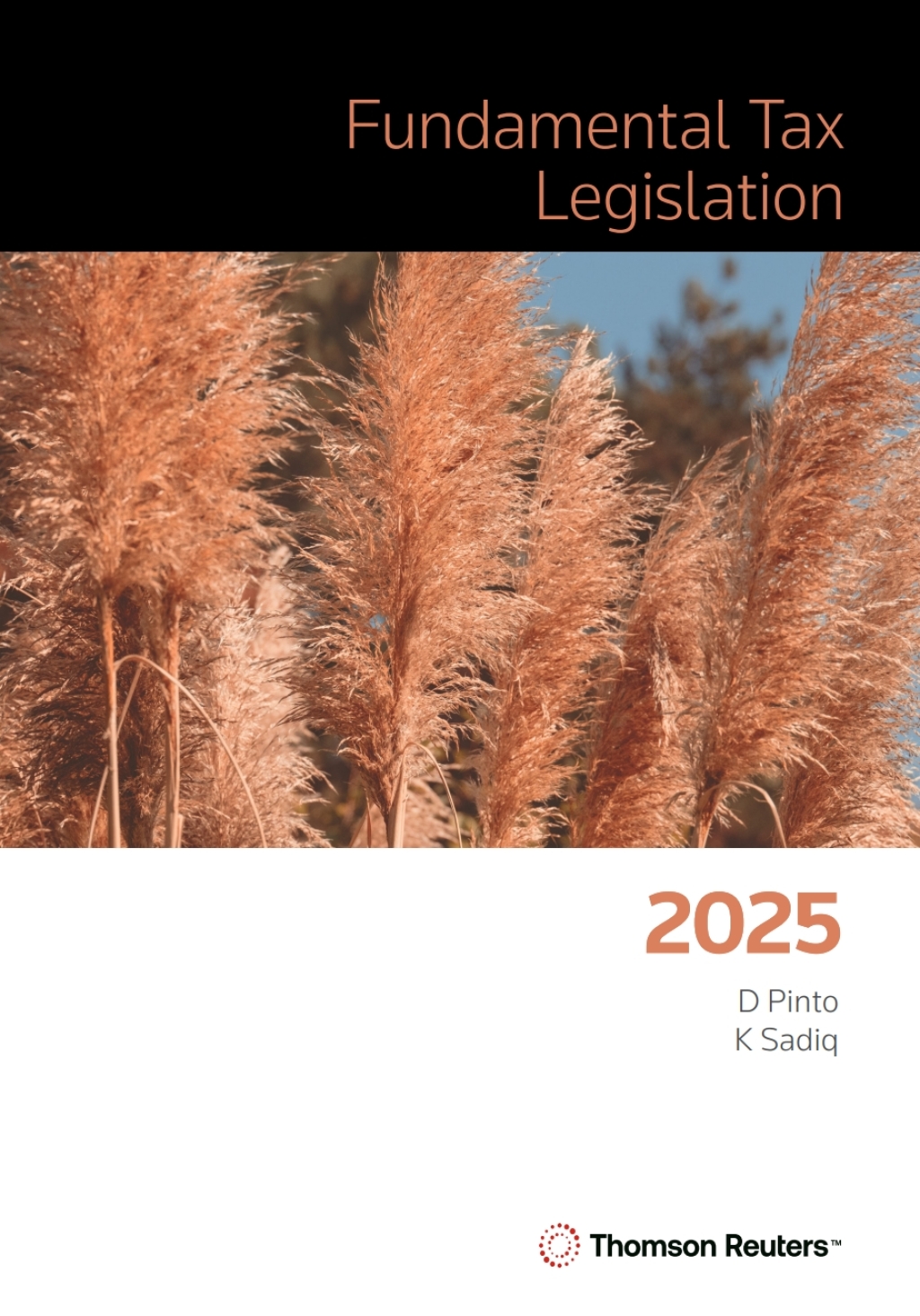 Fundamental Tax Legislation 2025 1st Edition