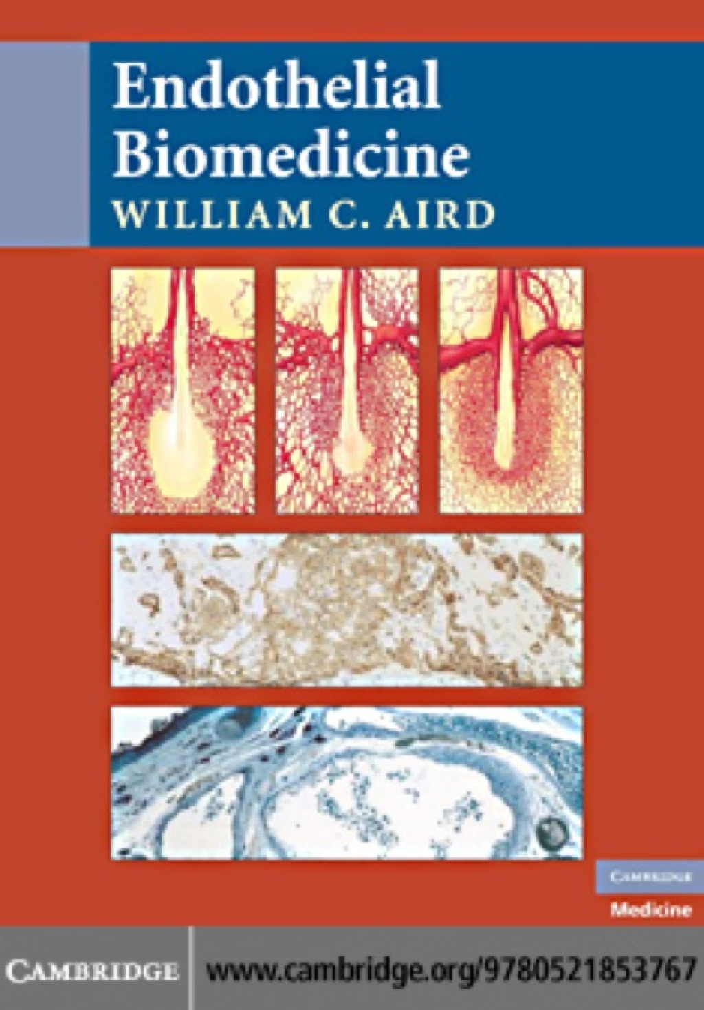 Endothelial Biomedicine 1st Edition