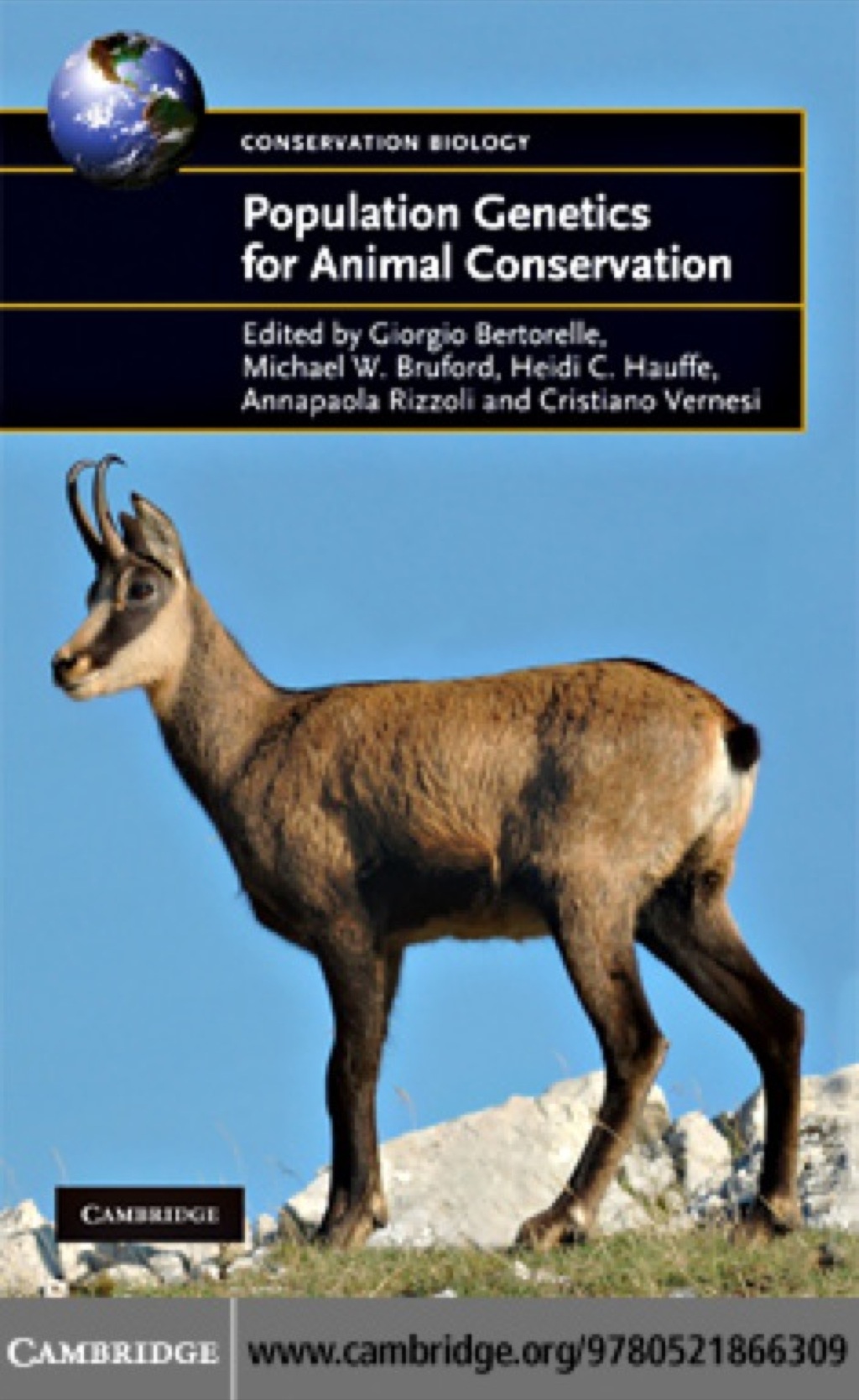 Population Genetics for Animal Conservation 1st Edition