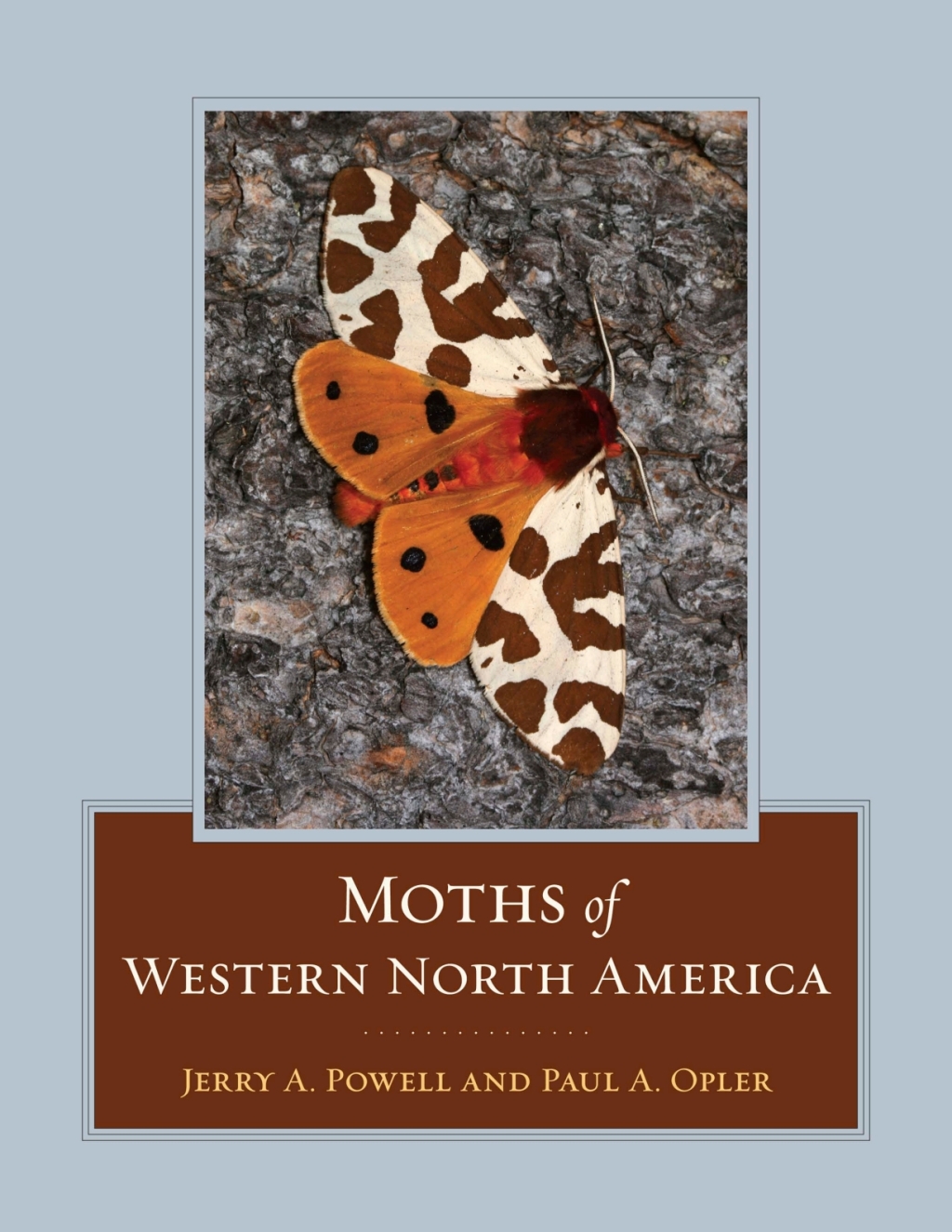 Moths of Western North America 1st Edition
