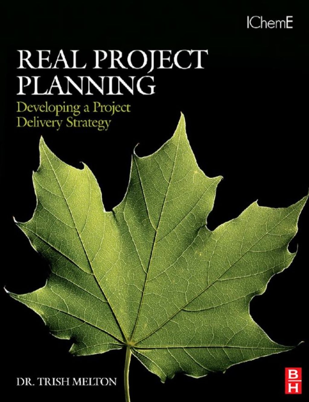 Real Project Planning: Developing a Project Delivery Strategy: Developing a Project Delivery Strategy