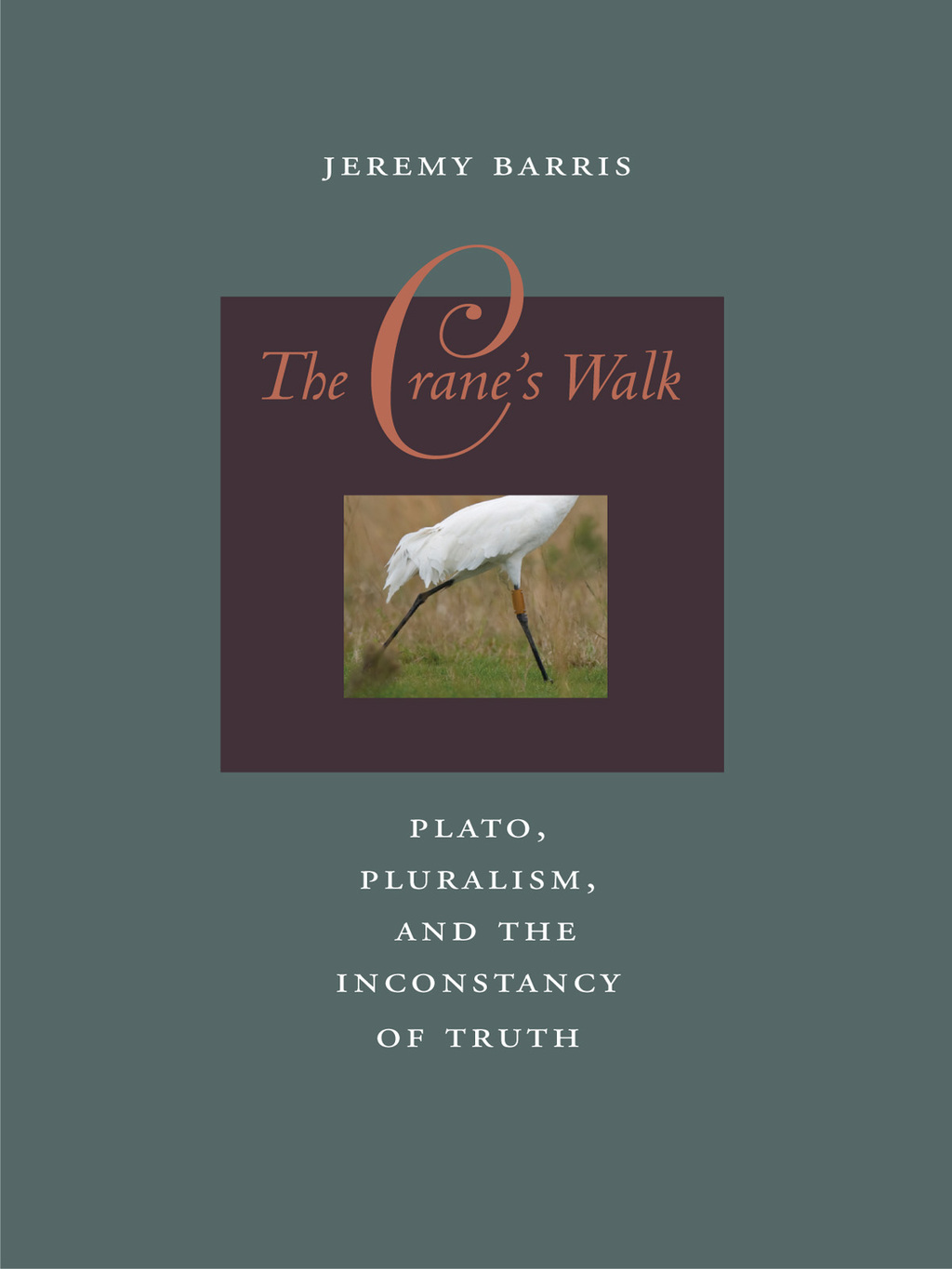 The Crane's Walk Plato, Pluralism, and the Inconstancy of Truth