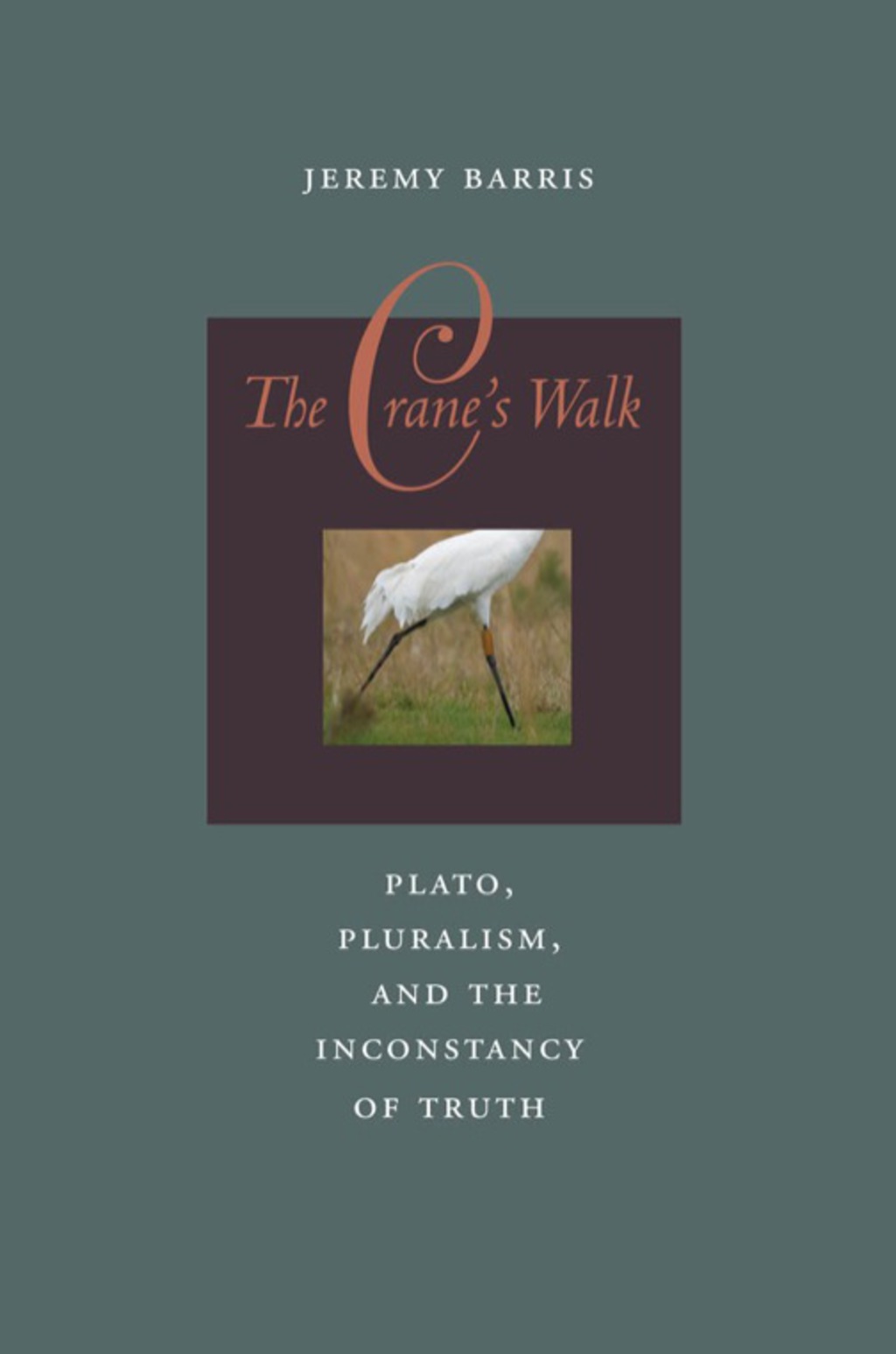 The Crane's Walk Plato, Pluralism, and the Inconstancy of Truth