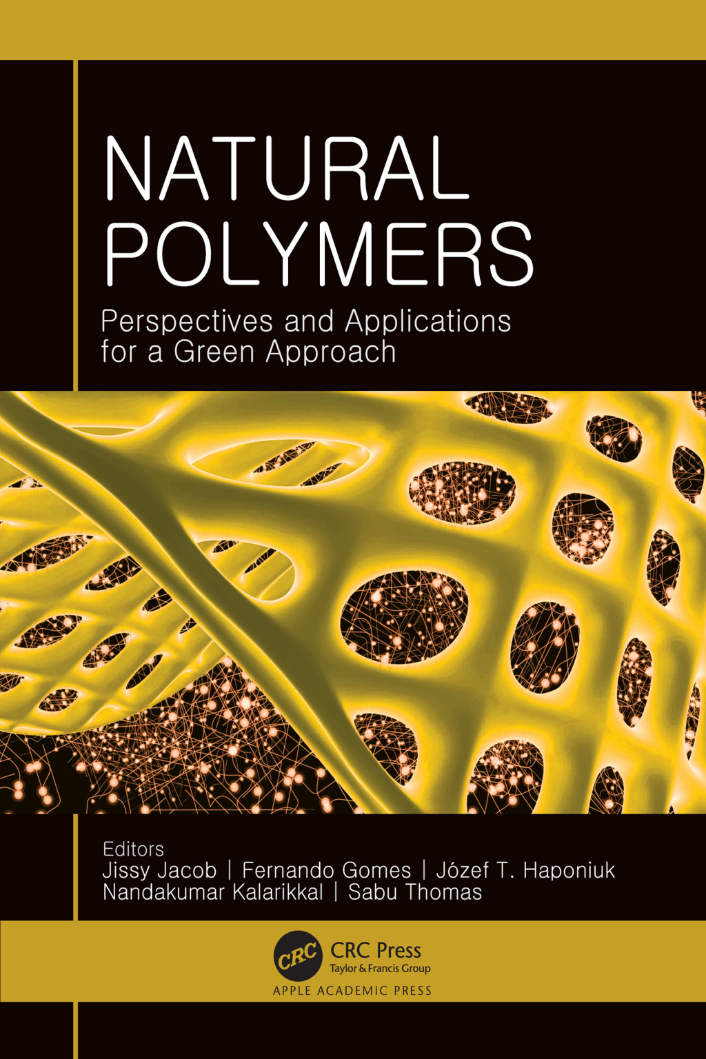 Natural Polymers Perspectives and Applications for a Green Approach 1st Edition
