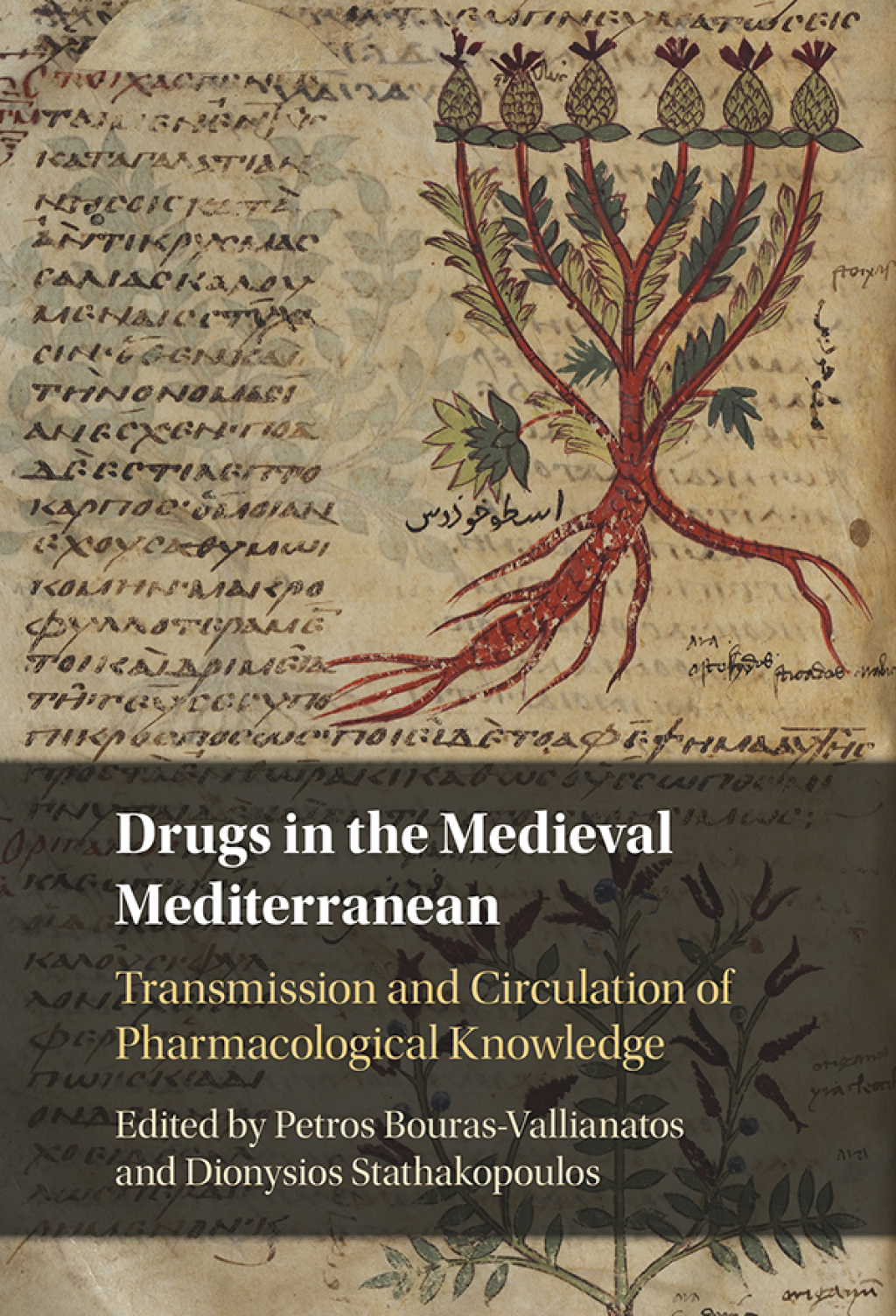 Drugs in the Medieval Mediterranean Transmission and Circulation of Pharmacological Knowledge 1st Edition