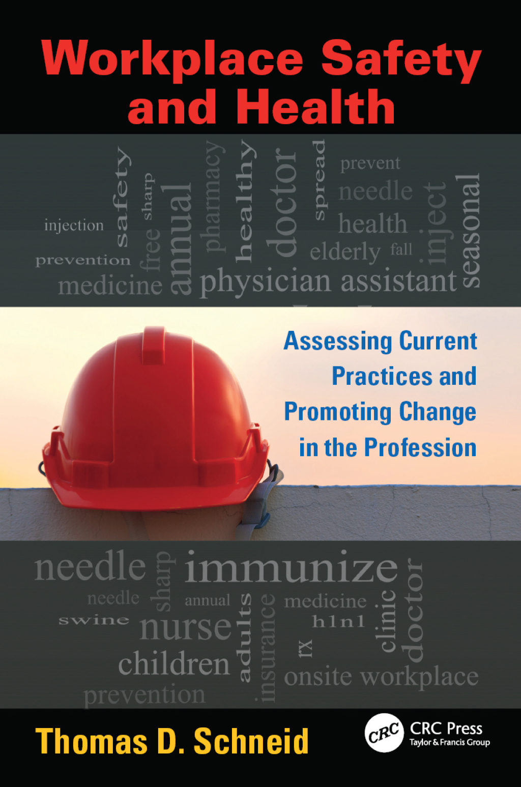 Workplace Safety and Health Assessing Current Practices and Promoting Change in the Profession 1st Edition