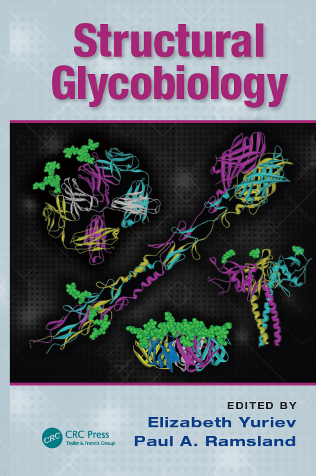 Structural Glycobiology 1st Edition
