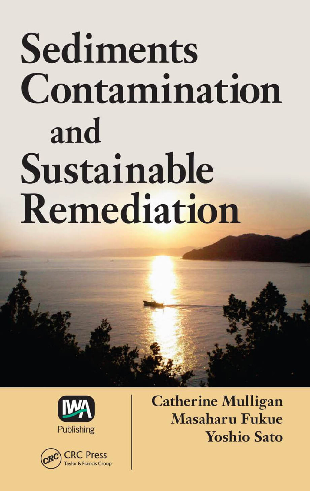 Sediments Contamination and Sustainable Remediation 1st Edition