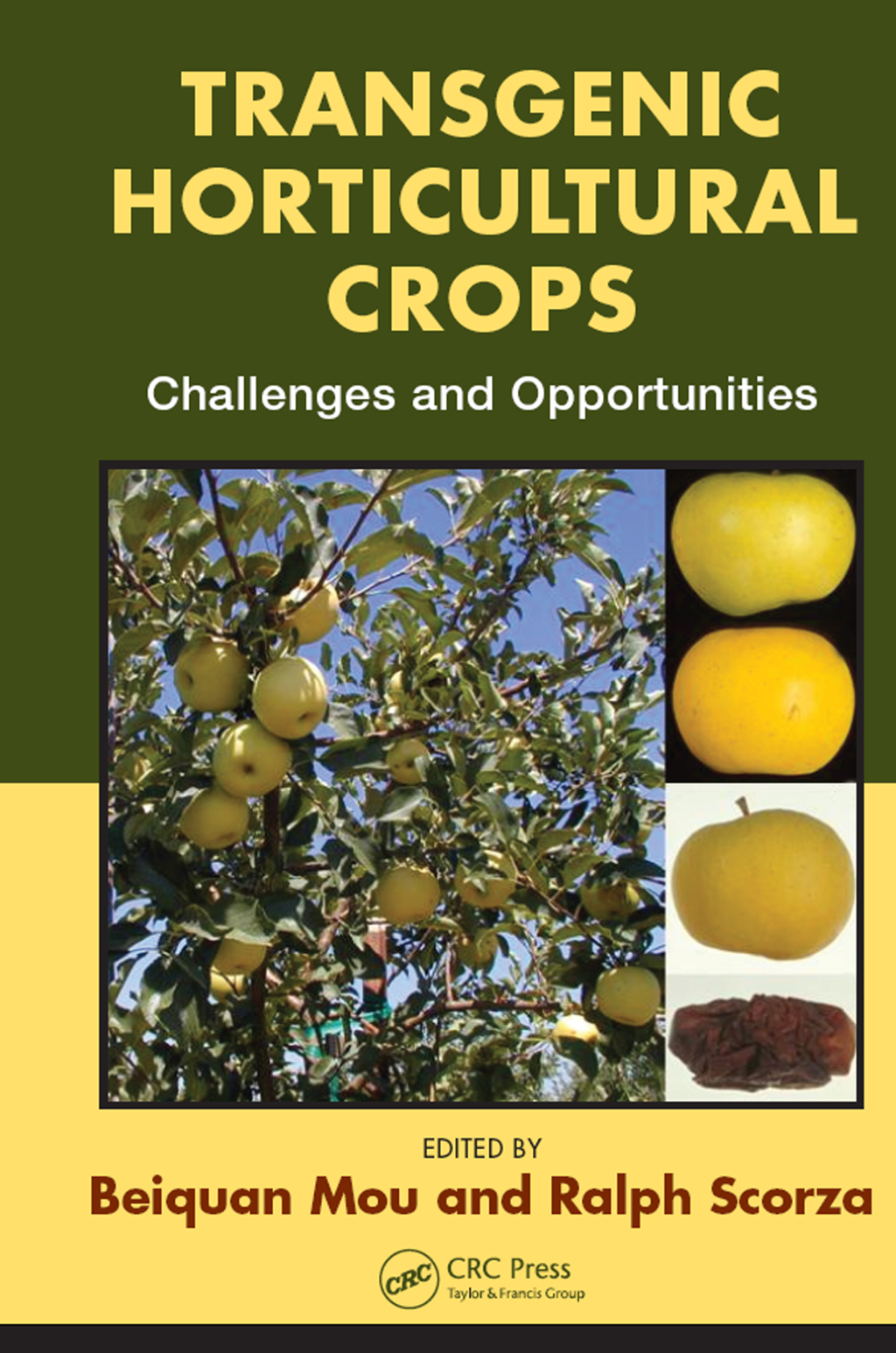 Transgenic Horticultural Crops Challenges and Opportunities 1st Edition