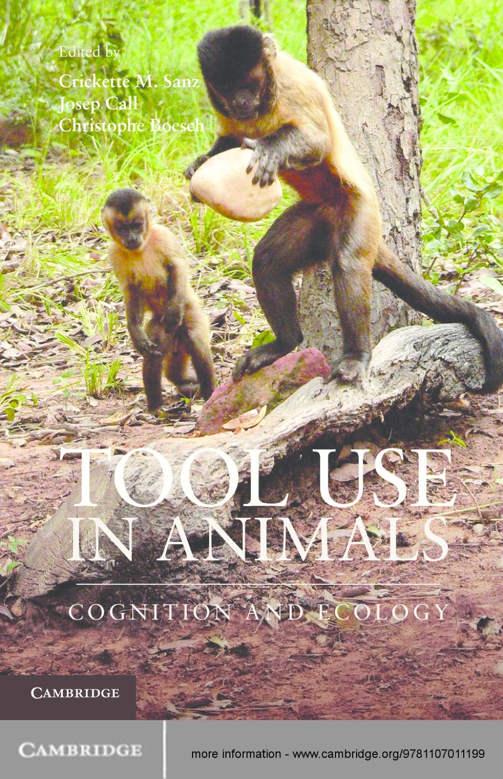 Tool Use in Animals Cognition and Ecology 1st Edition