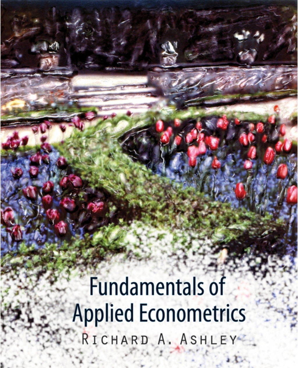 Fundamentals of Applied Econometrics 1st Edition