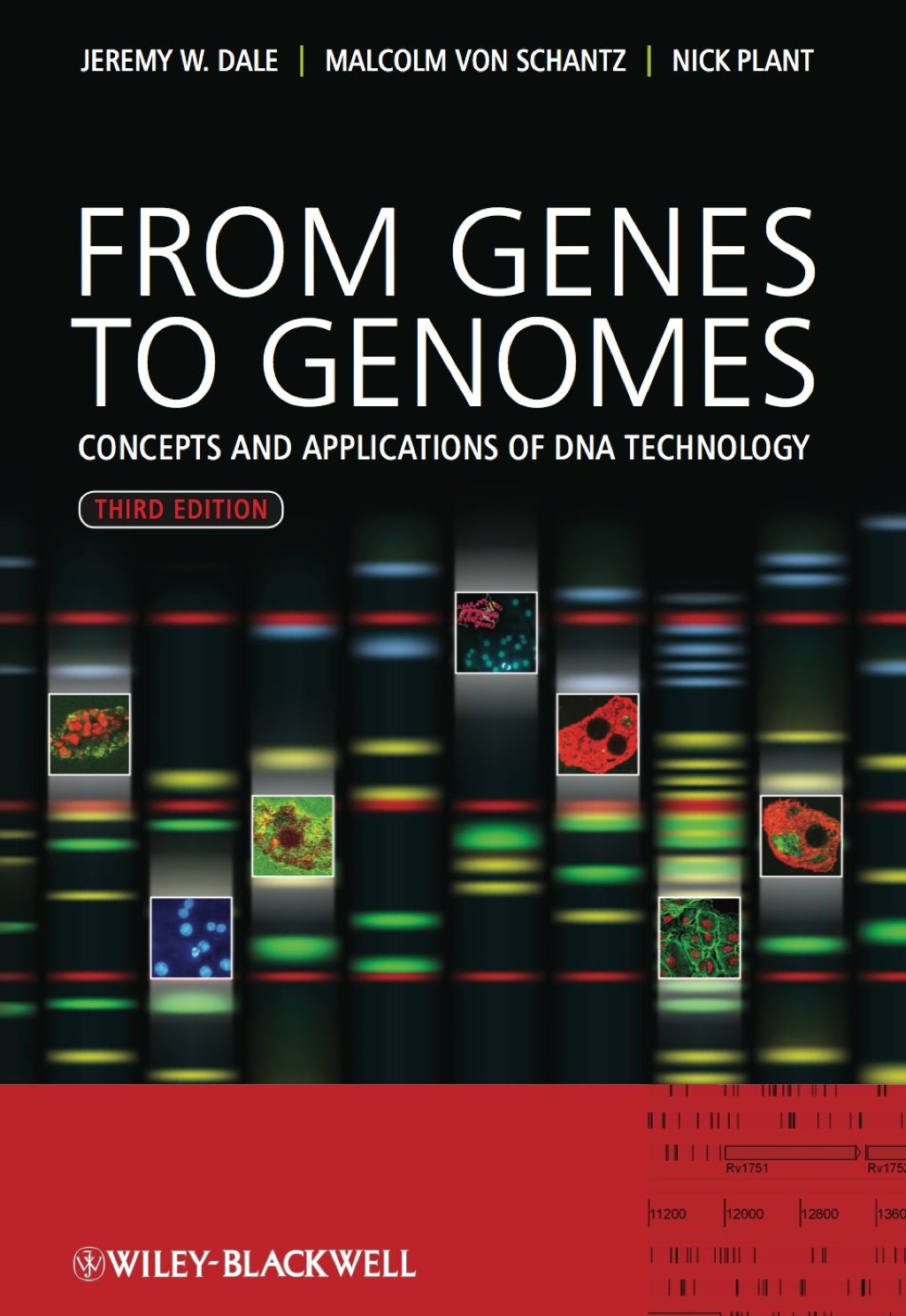 From Genes to Genomes: Concepts and Applications of DNA Technology 1st Edition