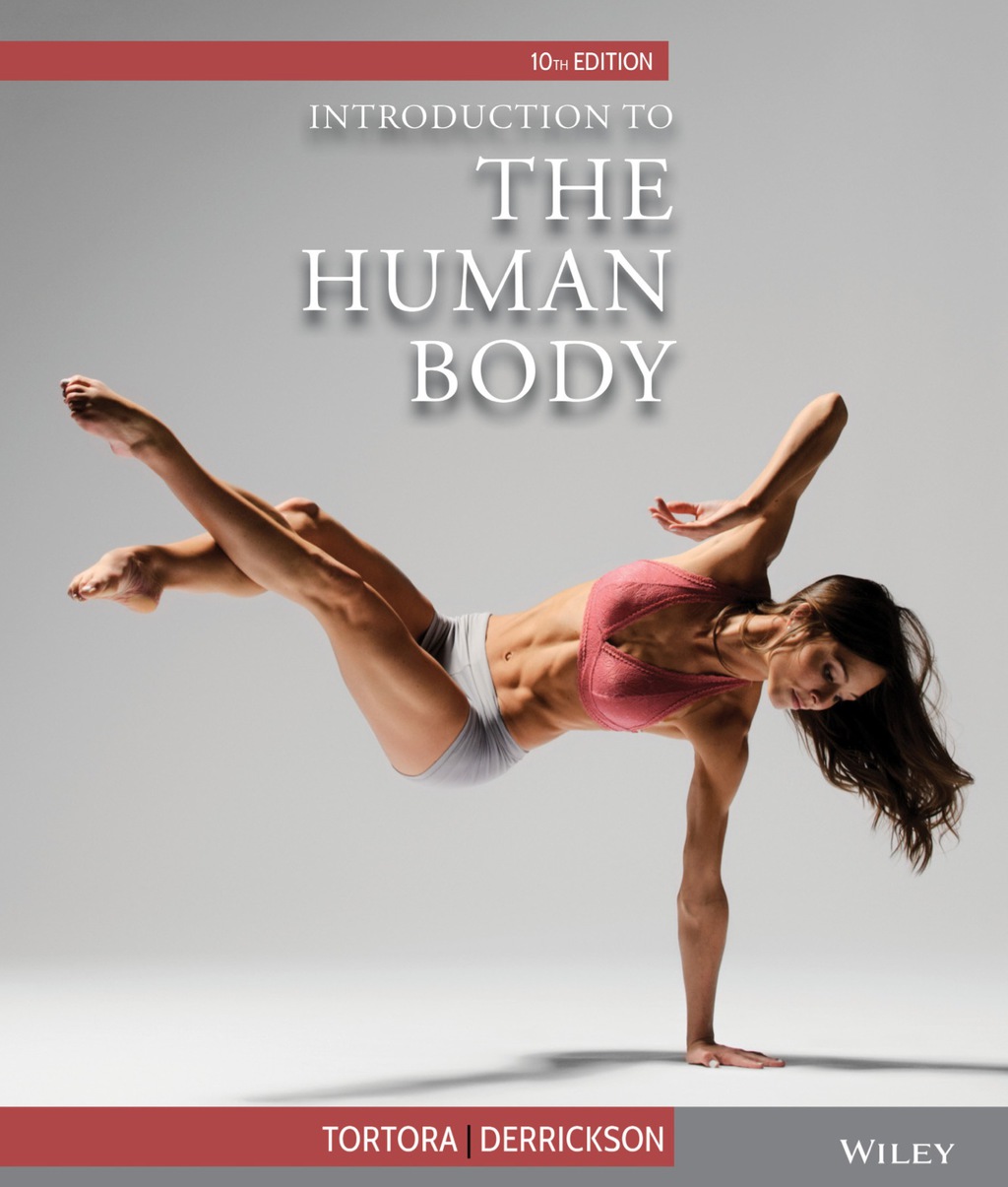 Introduction to the Human Body 10th Edition