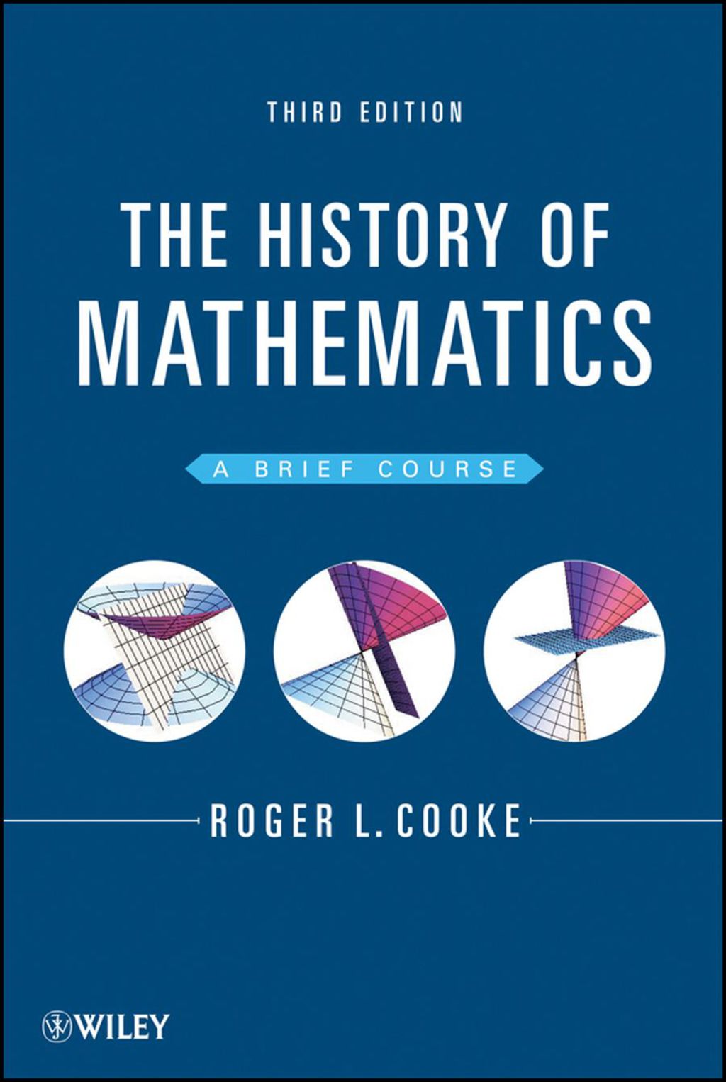 The History of Mathematics: A Brief Course 3rd Edition