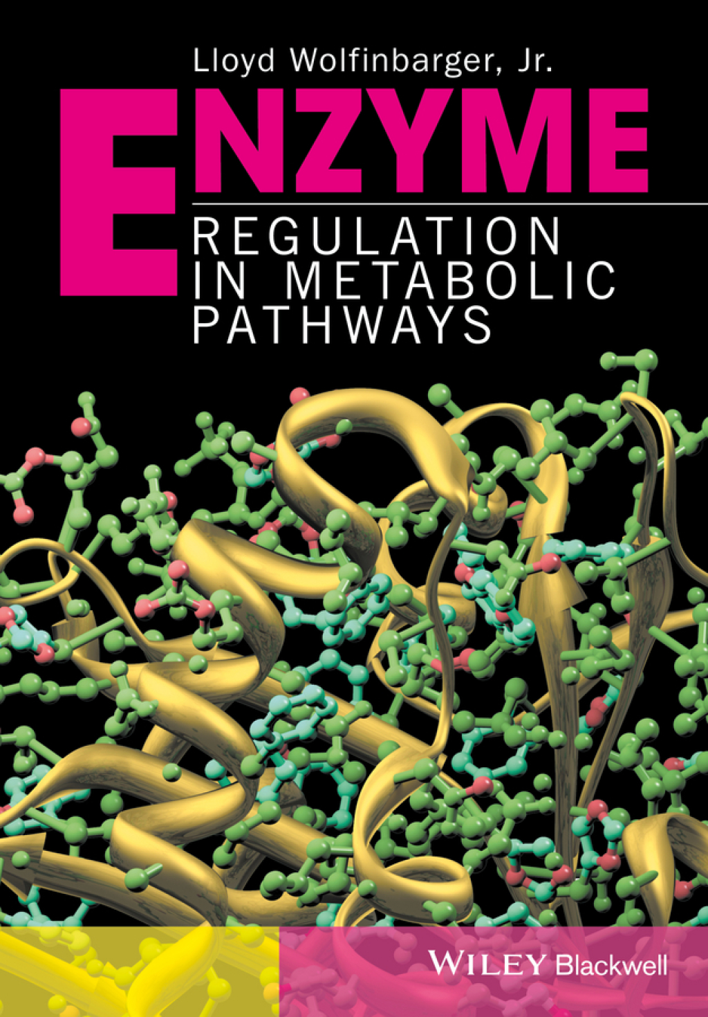 Enzyme Regulation in Metabolic Pathways 1st Edition