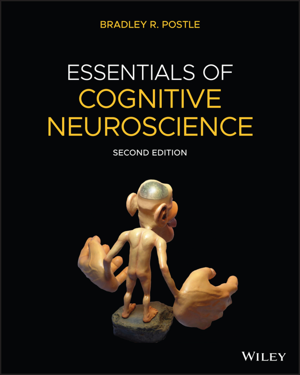 Essentials of Cognitive Neuroscience 2nd Edition