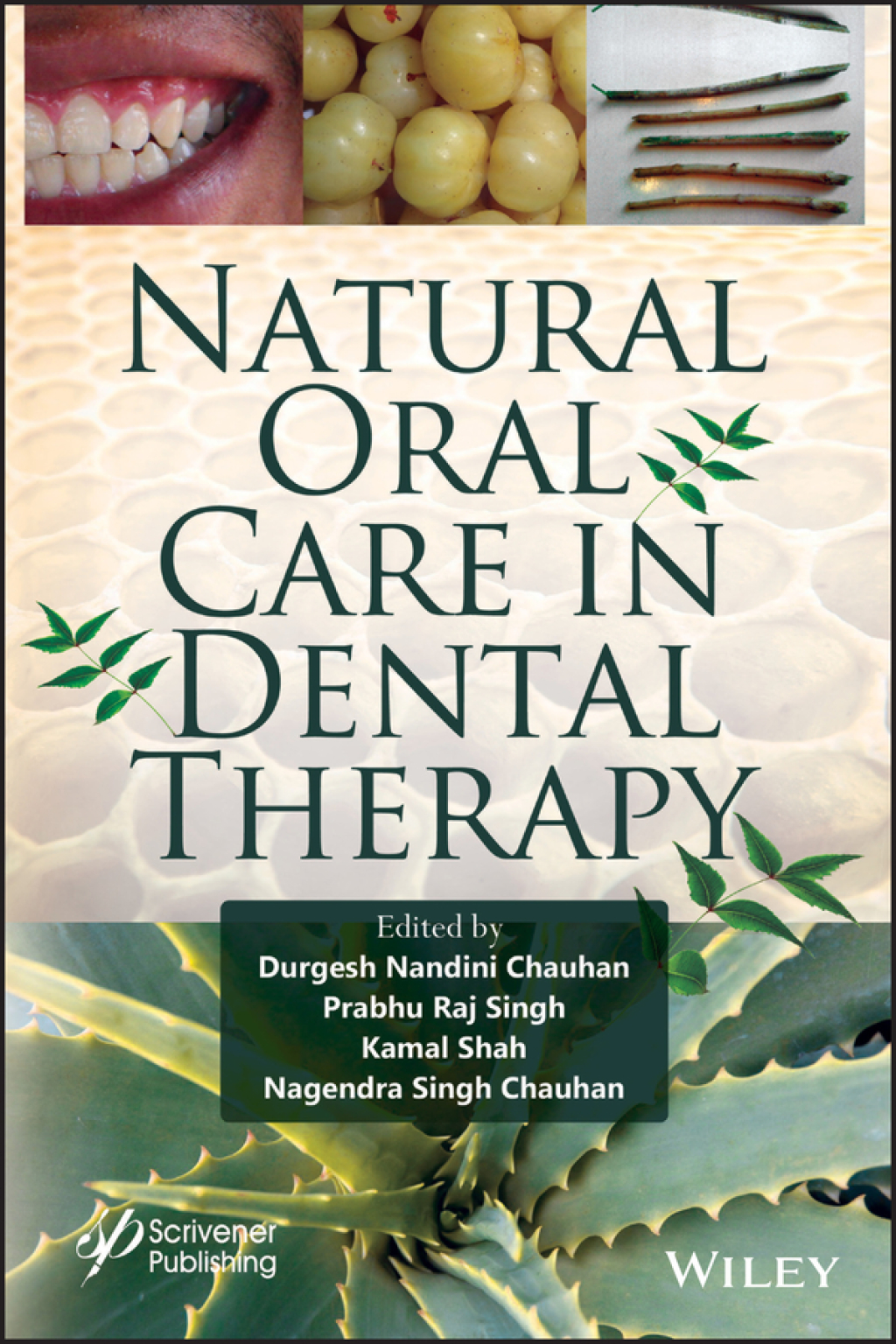 Natural Oral Care in Dental Therapy 1st Edition