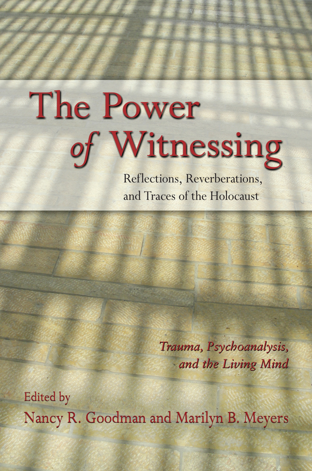 The Power of Witnessing Reflections, Reverberations, and Traces of the Holocaust: Trauma, Psychoanalysis, and the Living Mind 1st Edition