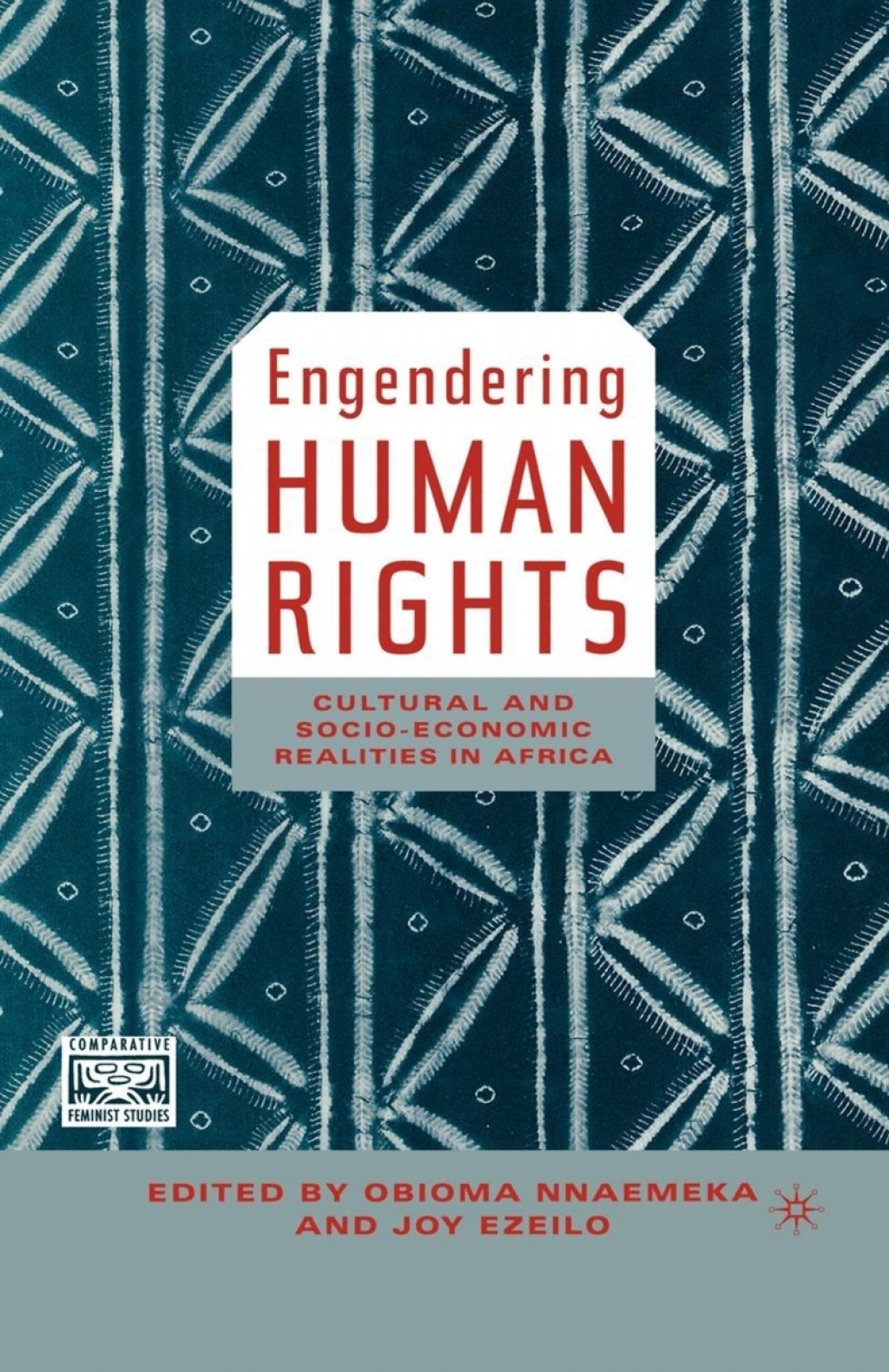 Engendering Human Rights Cultural and Socio-Economic Realities in Africa