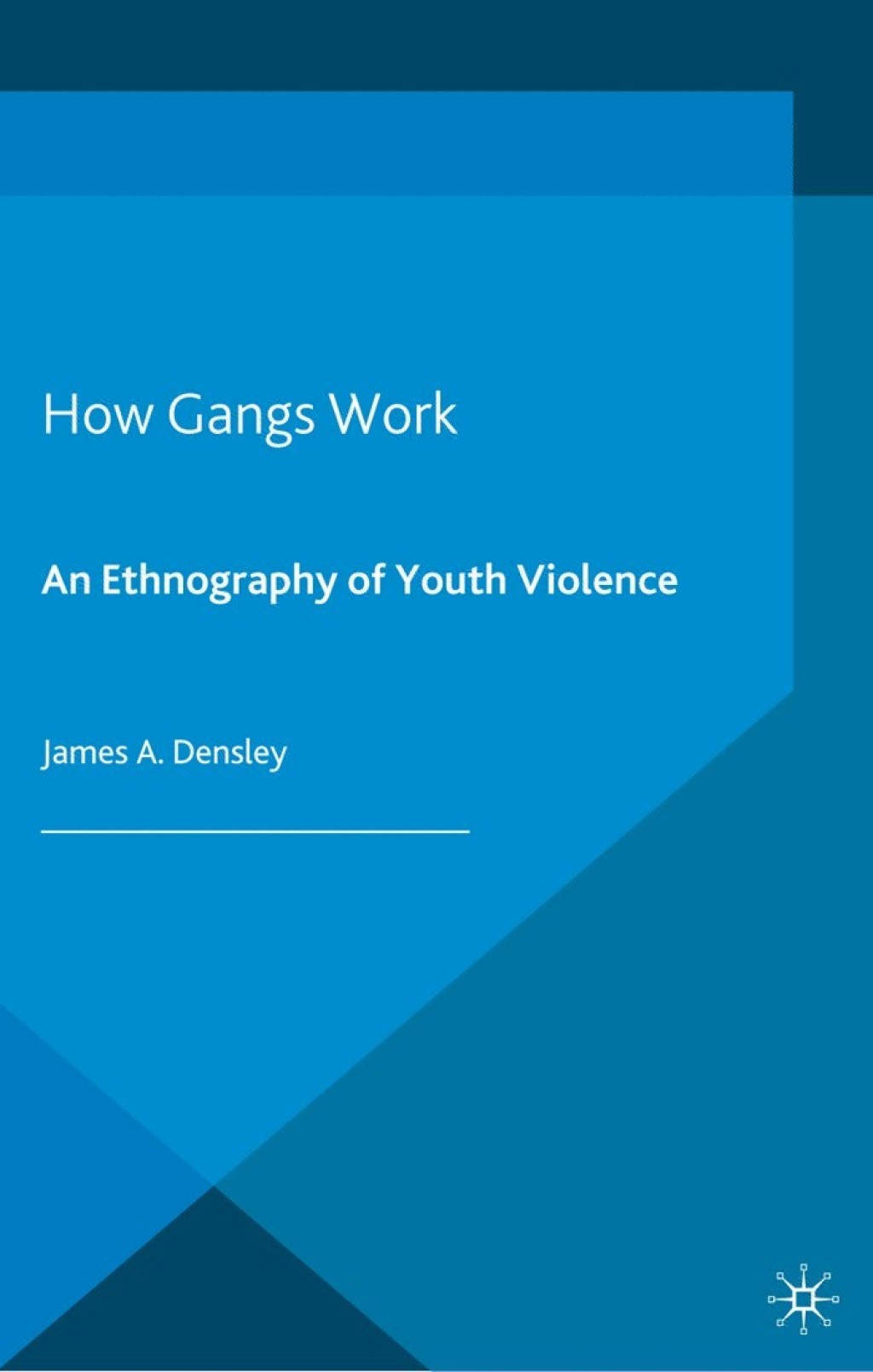 How Gangs Work An Ethnography of Youth Violence
