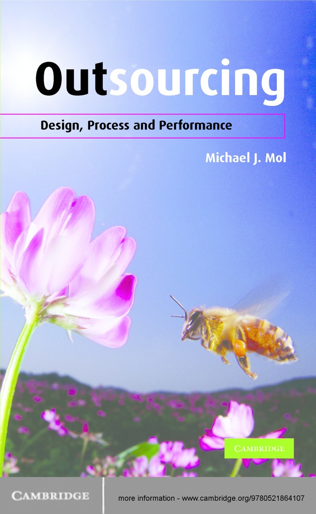 Outsourcing Design, Process and Performance 1st Edition