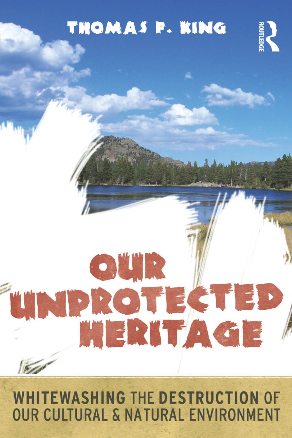 Our Unprotected Heritage Whitewashing the Destruction of our Cultural and Natural Environment 1st Edition