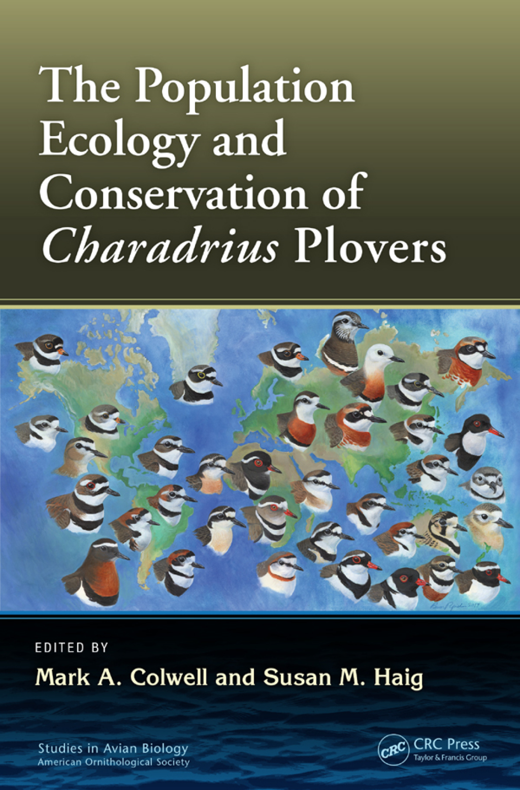 The Population Ecology and Conservation of Charadrius Plovers 1st Edition
