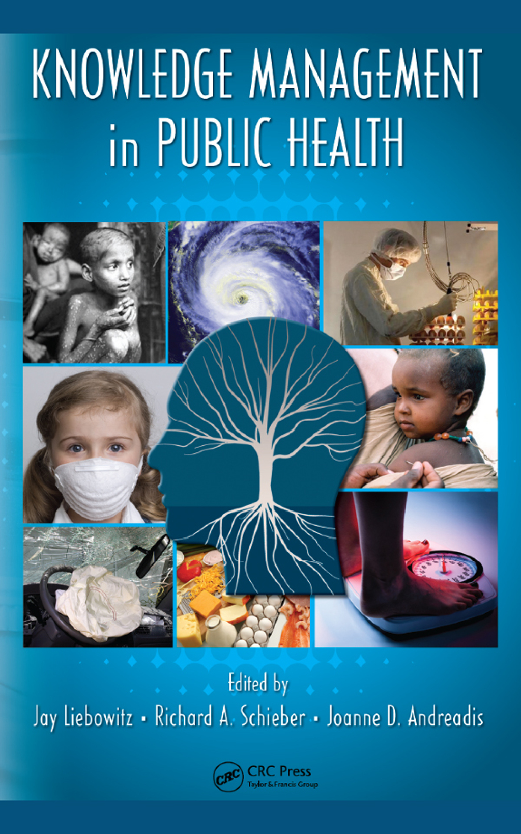 Knowledge Management in Public Health 1st Edition