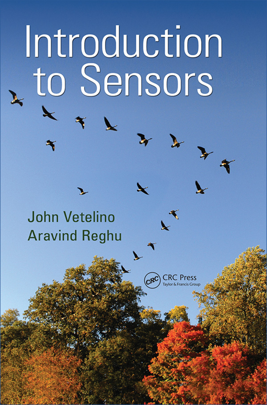 Introduction to Sensors 1st Edition