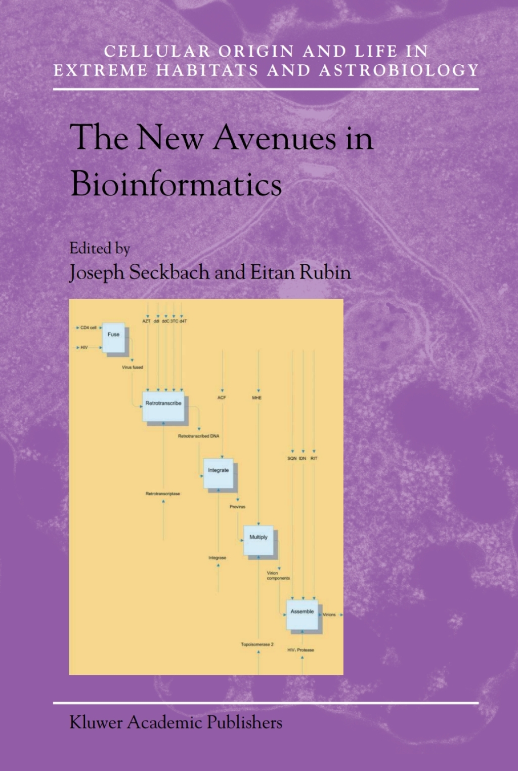 The New Avenues in Bioinformatics 1st Edition