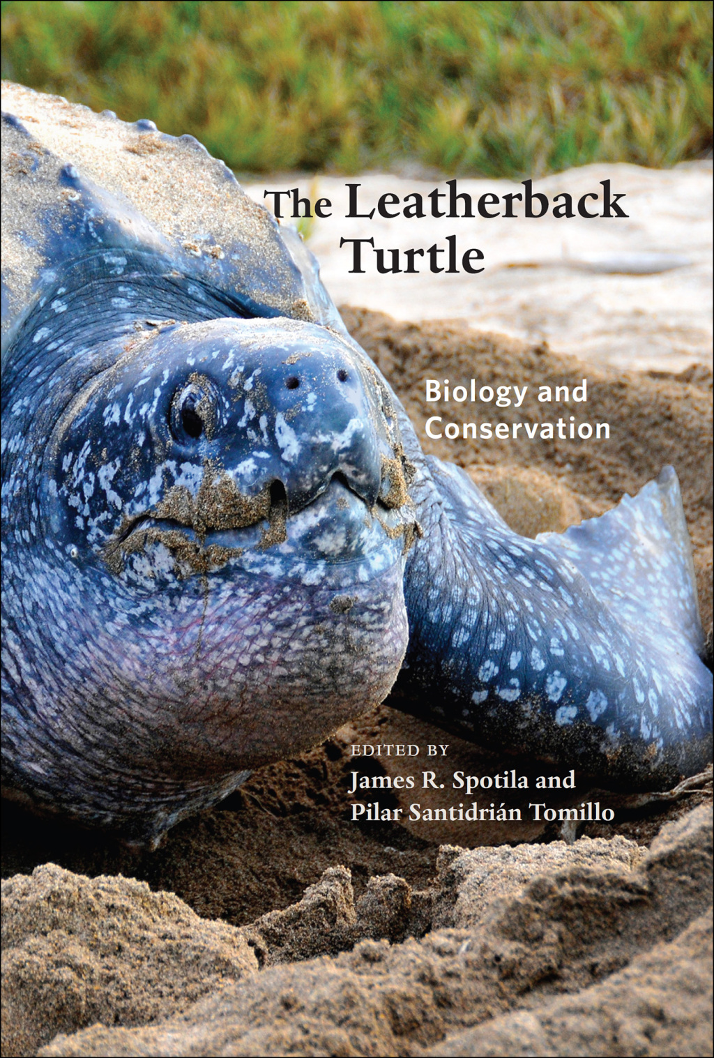 The Leatherback Turtle Biology and Conservation