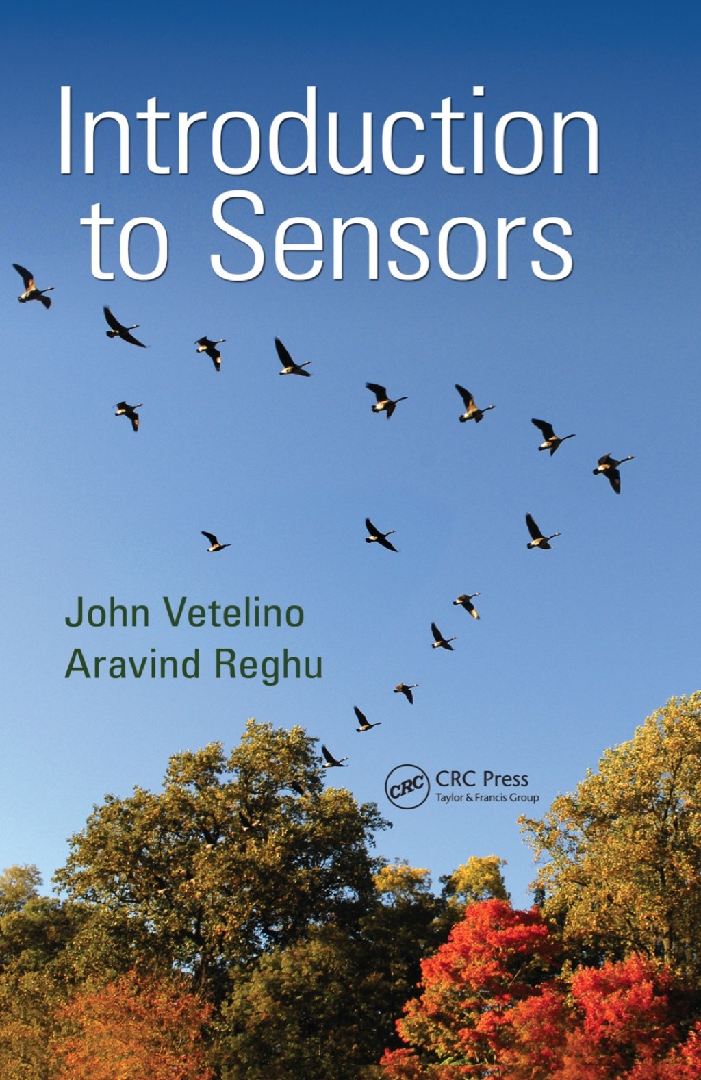 Introduction to Sensors 1st Edition